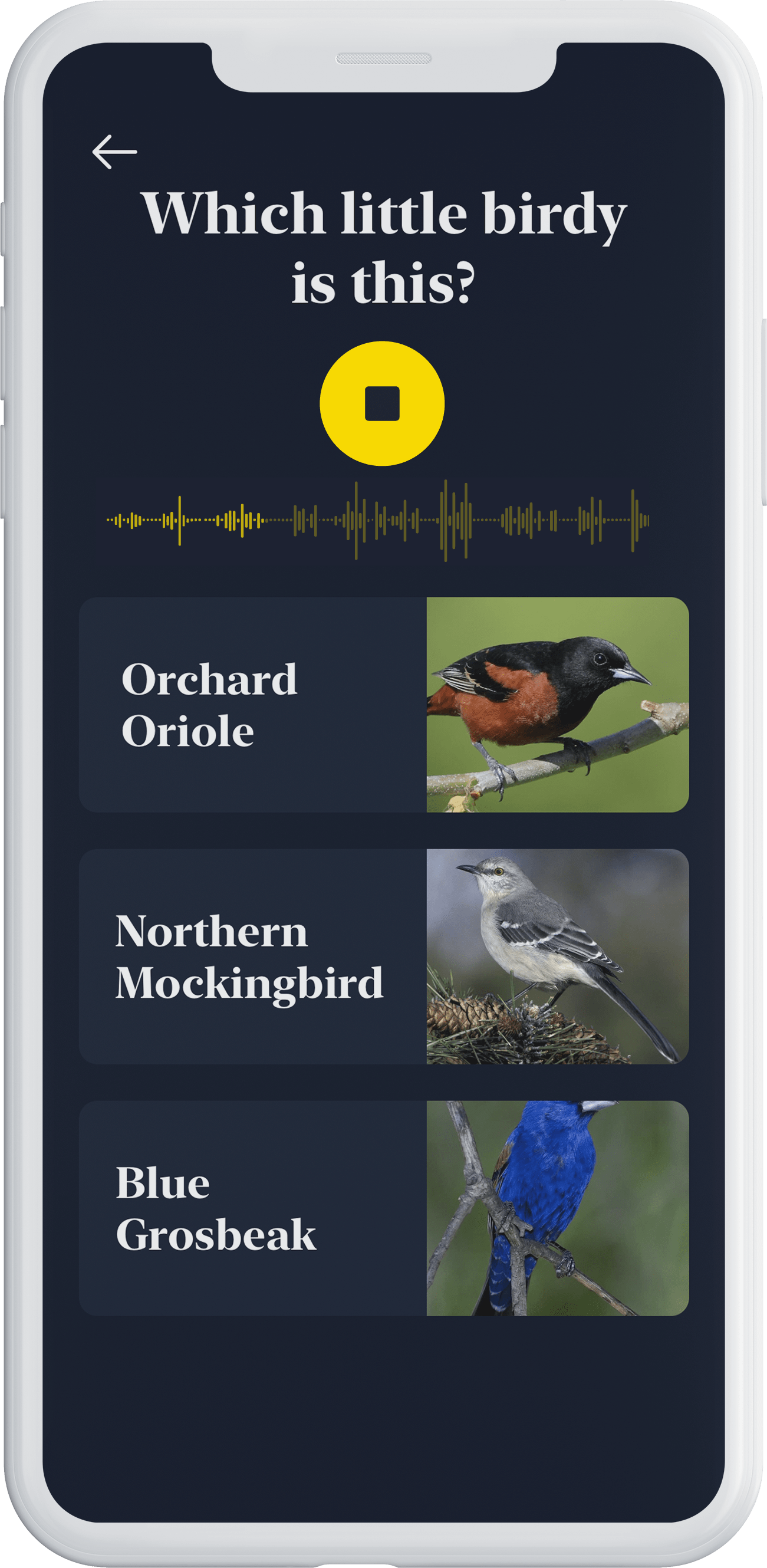 Challenge your ability to recognize bird songs with this game
