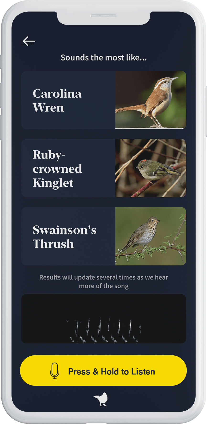 Identify birds by song using your phone